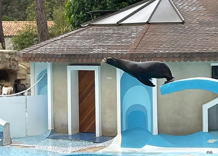 Holiday home Charming Mobile In Les Mathes, Close To La Palmyre Zoo