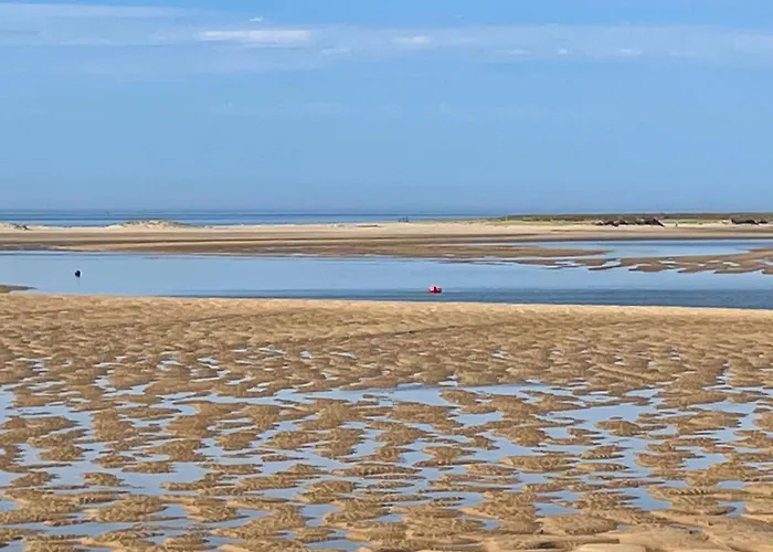 Charming Mobile In Les Mathes, Close To La Palmyre Zoo *