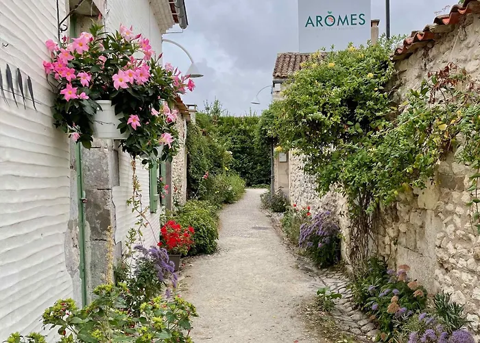 Charming Mobile In Les Mathes, Close To La Palmyre Zoo *