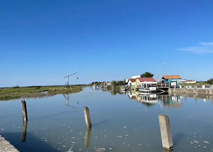 Charming Mobile In Les Mathes, Close To La Palmyre Zoo Holiday home *